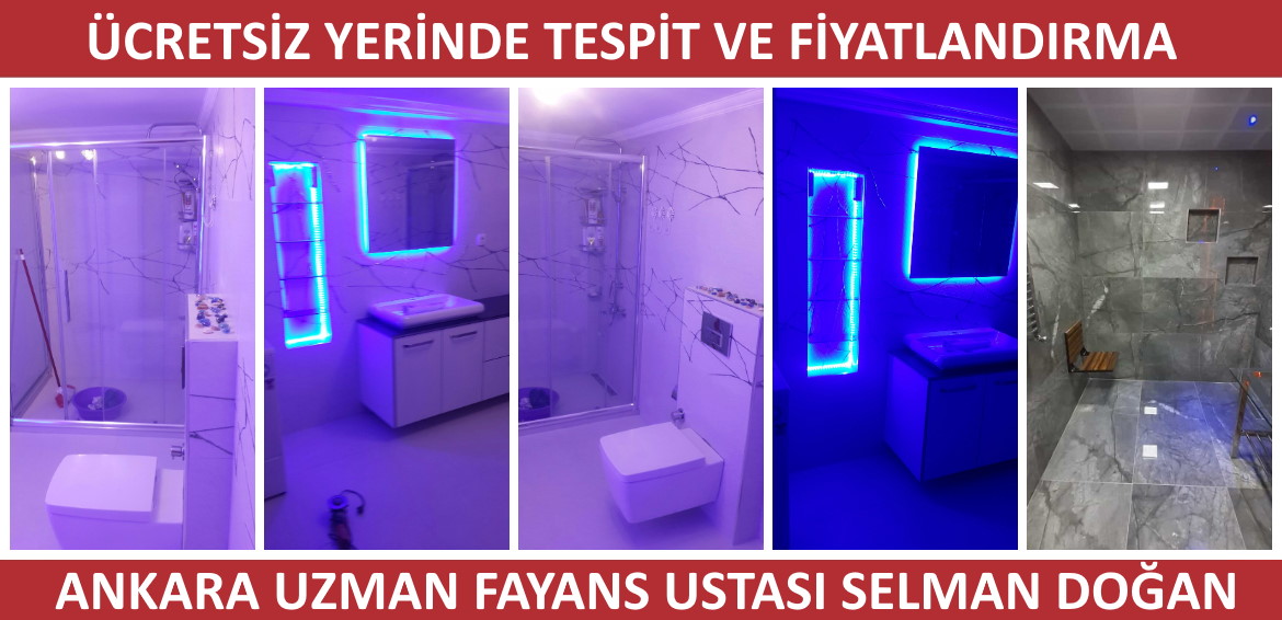 FAYANS USTASI